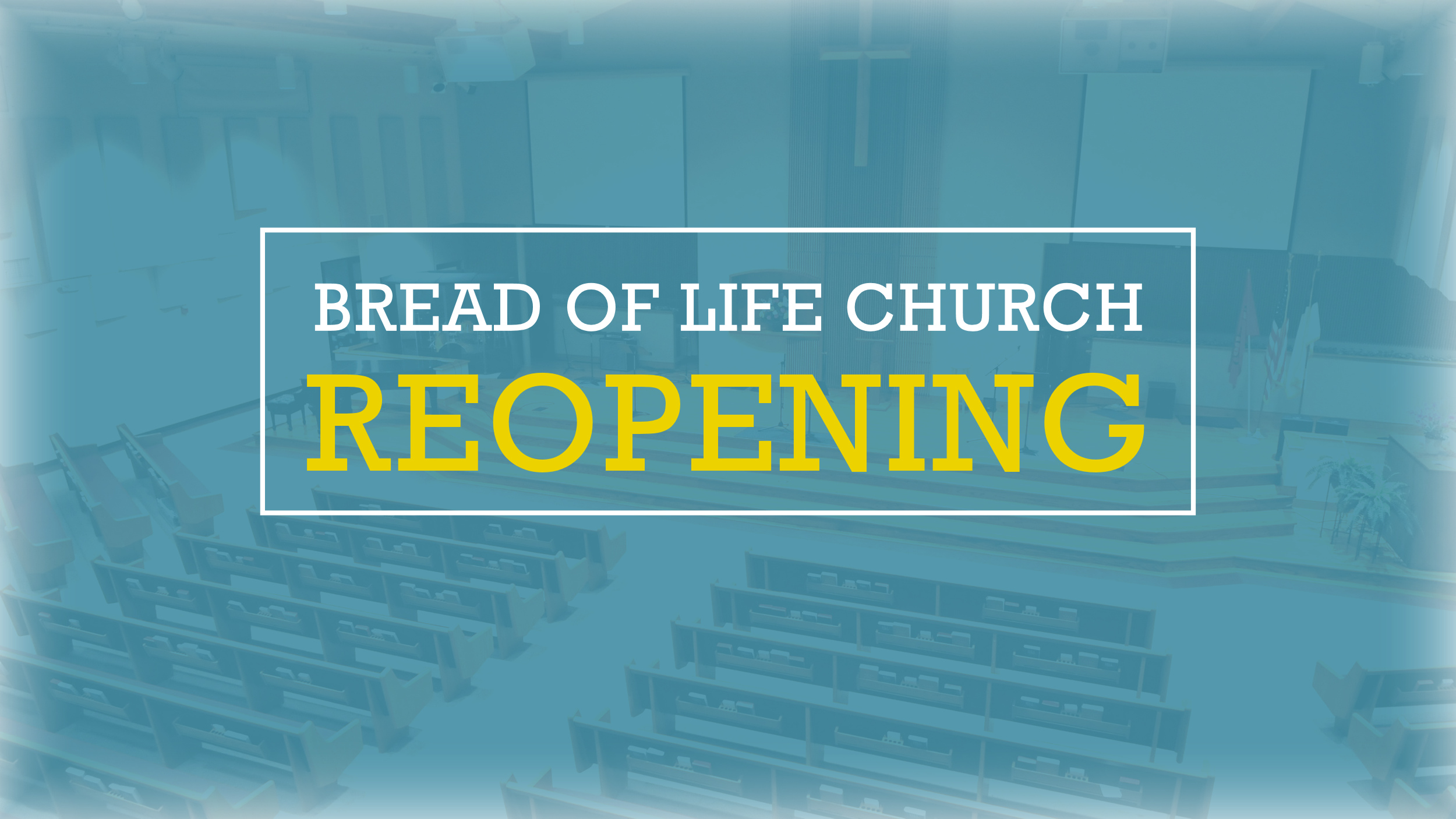 Read more about the article Church Ministry Update – Reopening