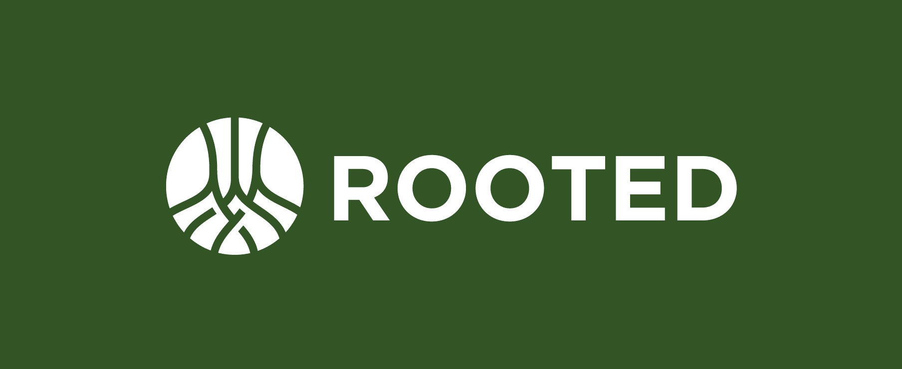 Read more about the article Rooted Experience